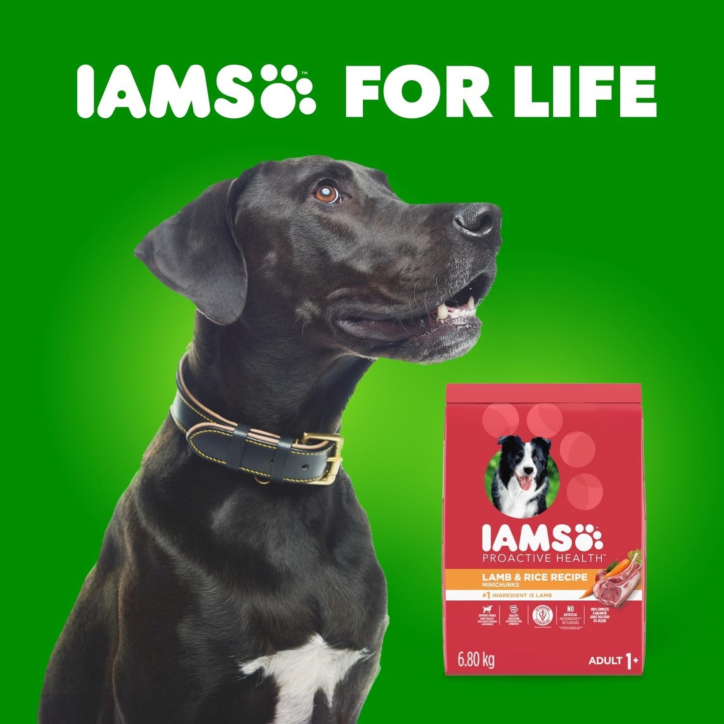 IAMS Proactive Health Minichunks Dry Dog Food – Lamb & Rice Recipe – 13.6KG (30LB) Bag