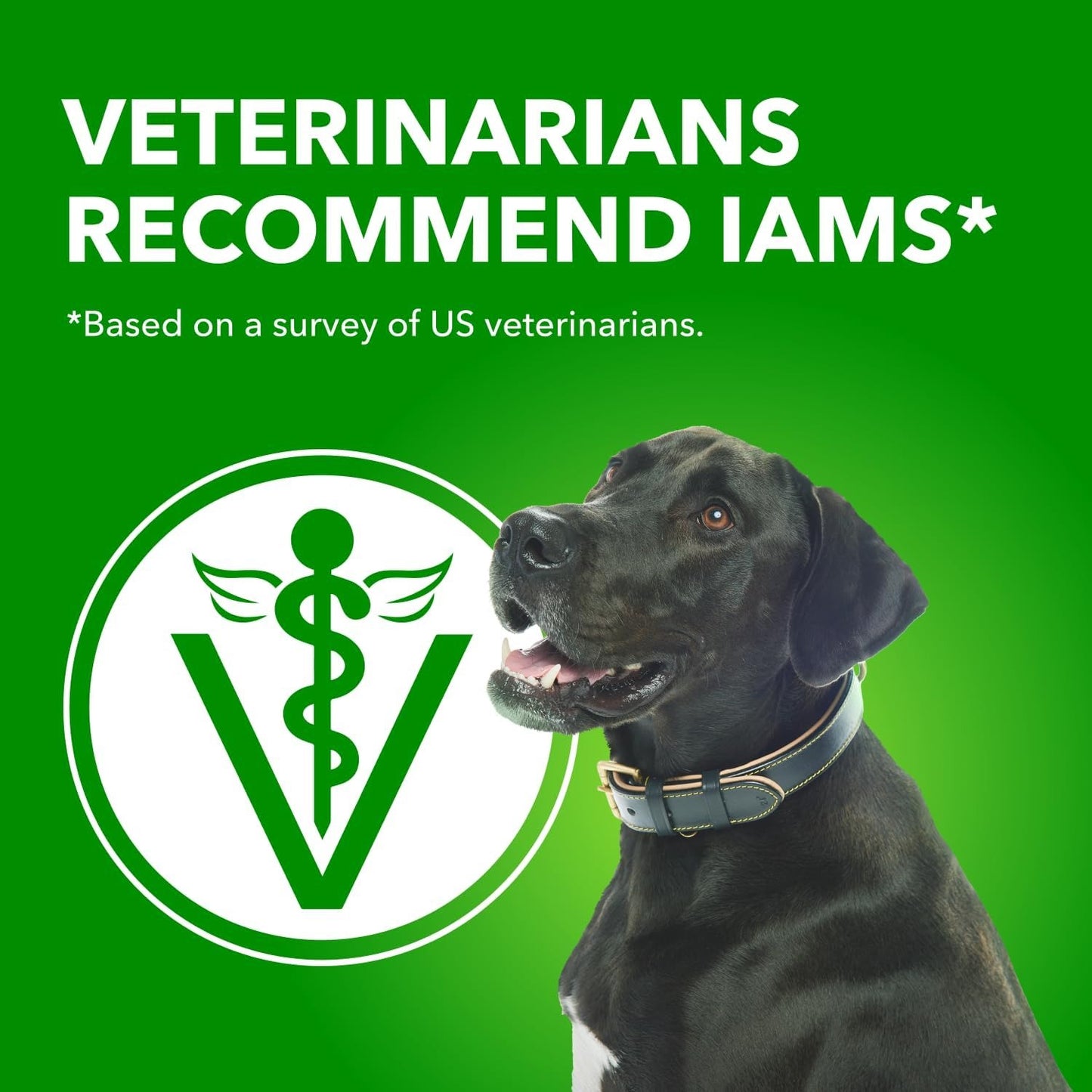 IAMS Proactive Health Minichunks Dry Dog Food – Lamb & Rice Recipe – 13.6KG (30LB) Bag