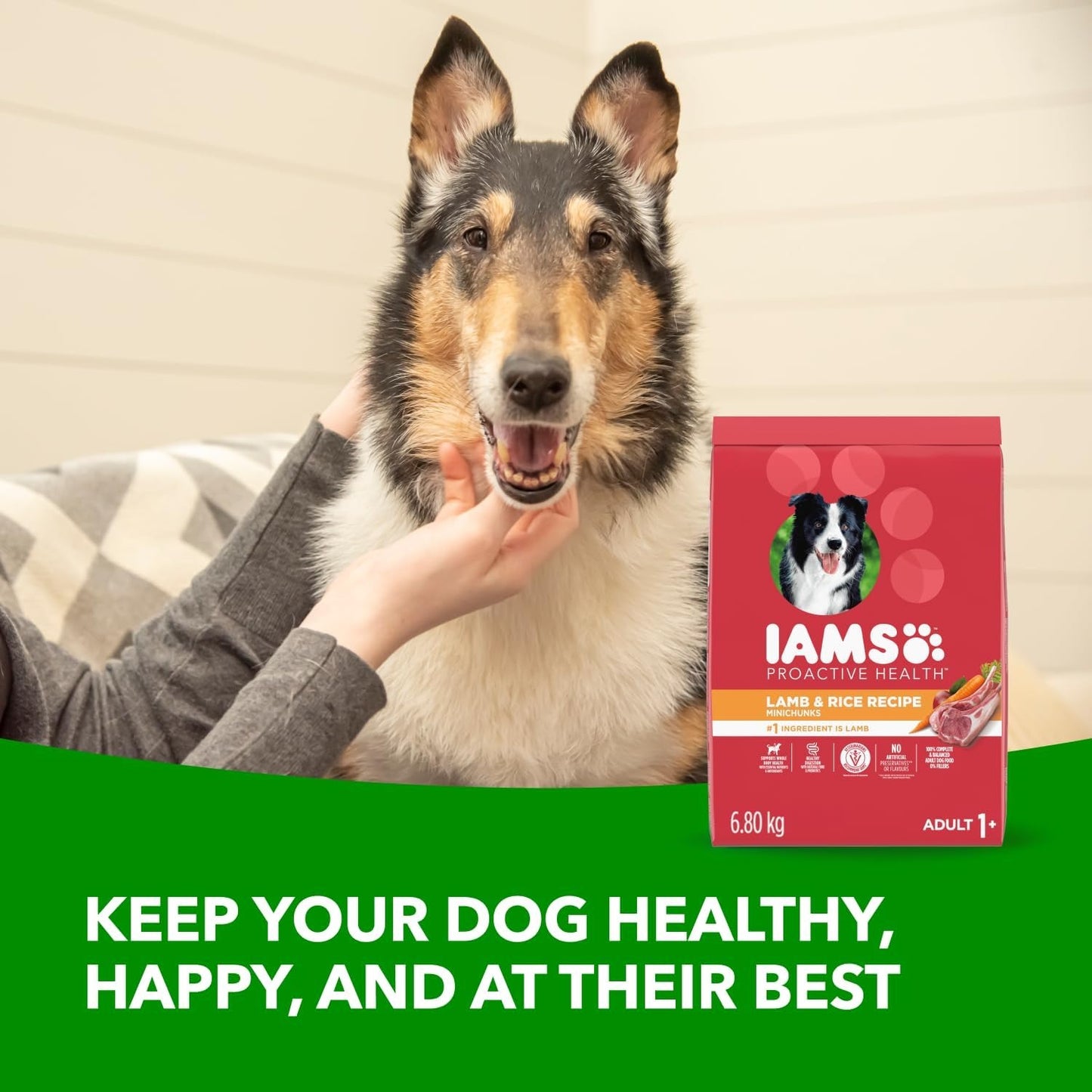 IAMS Proactive Health Minichunks Dry Dog Food – Lamb & Rice Recipe – 13.6KG (30LB) Bag